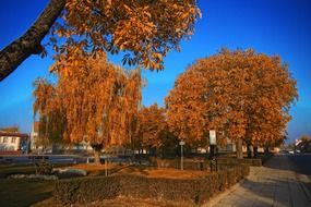 gorgeous park autumn