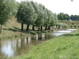 row of trees at channel, rural landscape, netherlands