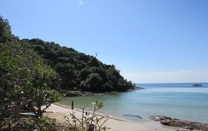 tropical landscape by the ocean