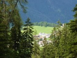 Landscape with the meadow in Switzerland