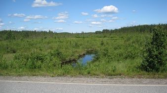 summer landscape, russia, karelia