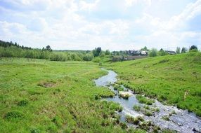 river on green plants
