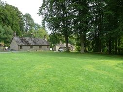houses among meadow in the park