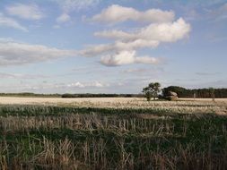 harvested field, landscape, northern germany