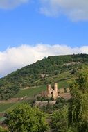 burg ehrenfels
