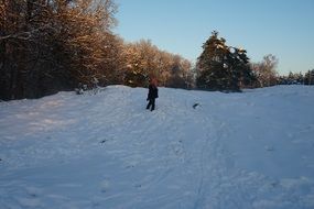 child in a snowy winter park