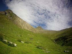 green meadow in mountains