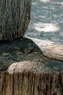 stump as a wooden chair