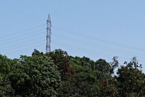 pole with high voltage in the forest