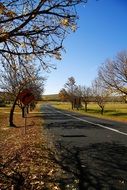 Autumn landscape along a two-lane road
