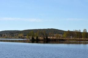 trees near the water in nature