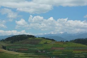 green summer beautiful hill