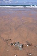small stones on sand at sea