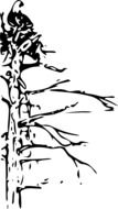 black and white drawing of a dead tree