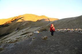 young mountaineer