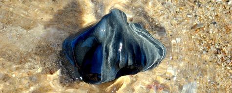 black stone on sand in water close-up