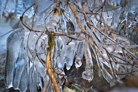 Ices on a branches