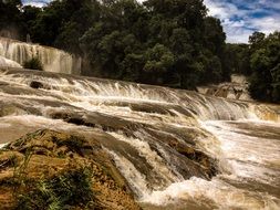 waterfall on the background of green forest