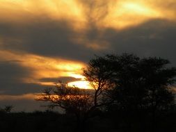 sunset scene nature