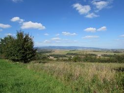 Landscape of the yellow and green meadow
