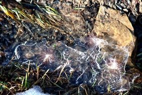 frozen puddle in grass