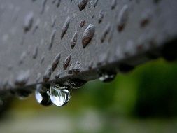 raindrops close up