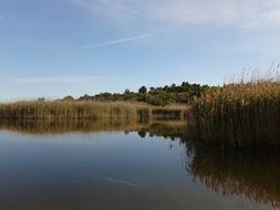 lake in portonovo