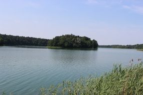 Landscape with the grass and lake