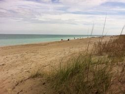 wonderful beach ocean