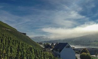 hilly bank of Mosel river, France