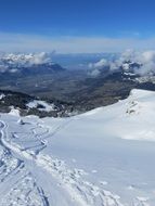 cross-country ski tracks in the snow