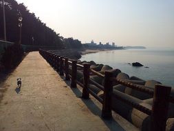 romantic mood on a beach road