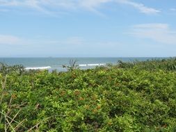 beach distant view