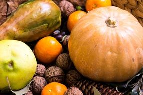 pumpkins, nuts, tangerines and cones