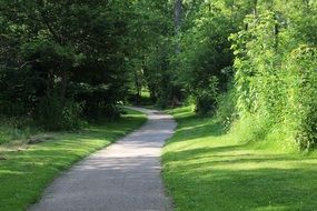 walking trail