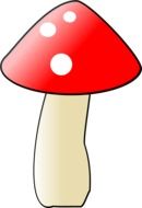 Red mushroom with white points as an illustration