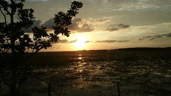 sun in the sunset on the horizon of the lake at dusk