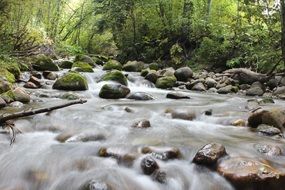swift river among the stones