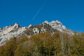 forest and mountains view in autumn