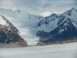 glacier flock