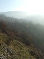 beech mountain in mysterious fog scenery