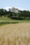 closed habsburg cornfield