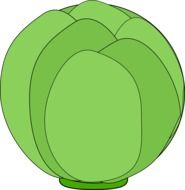 green artichoke as a graphic illustration