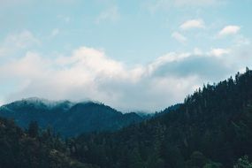 Landscape with the mountains outdoors