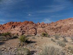 summer mountain landscape