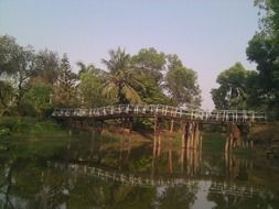 wooden bridge in India