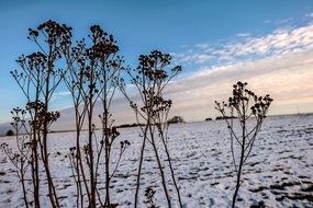 white clouds over a field in the snow