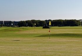 flags on green golf course on a sunny day