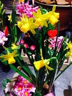 yellow daffodils in a flower shop