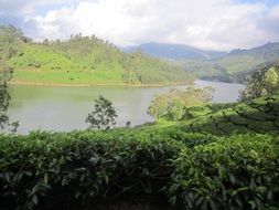 mountain river turning photo